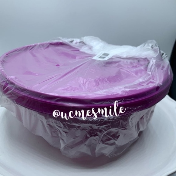 Tupperware Jello Jel-Ring Mold in Berry - Picture 5 of 5